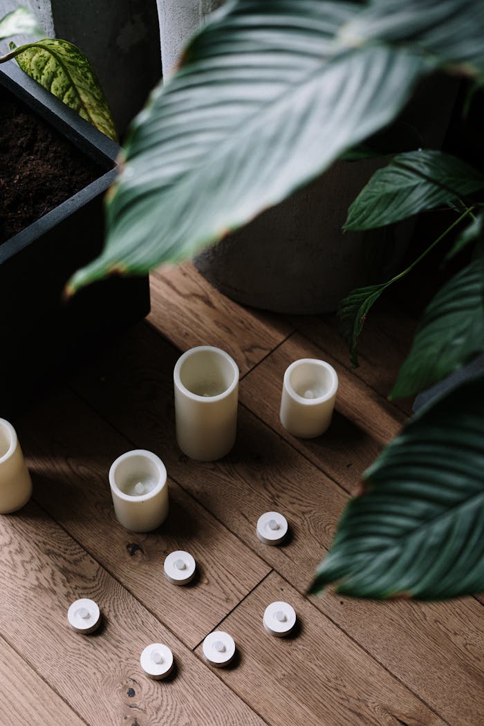 gallery-03 A serene indoor scene featuring candles and lush green leaves on a wooden floor.